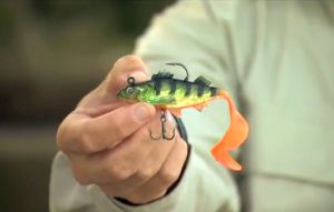 VIDEO: How to use – Storm Wildeye Live Series